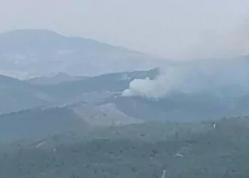 Manisa akhisar'da ormanda yangın