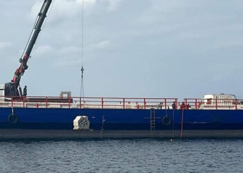 Marmara Denizi'ndeki canlı çeşitliliği yapay resiflerle artırılacak