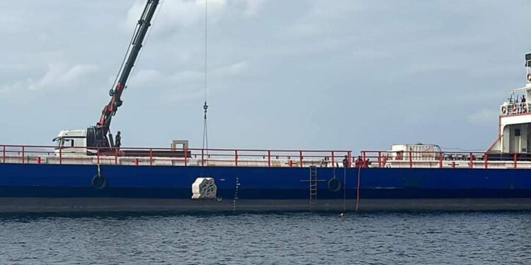 Marmara Denizi'ndeki canlı çeşitliliği yapay resiflerle artırılacak