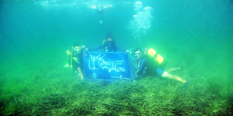 Marmara’nın son oksijen deposu kayıt ve koruma altına alınıyor