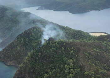 Muğla'nın Marmaris ilçesinde orman yangını