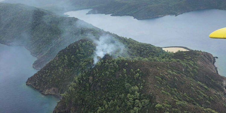 Muğla'nın Marmaris ilçesinde orman yangını