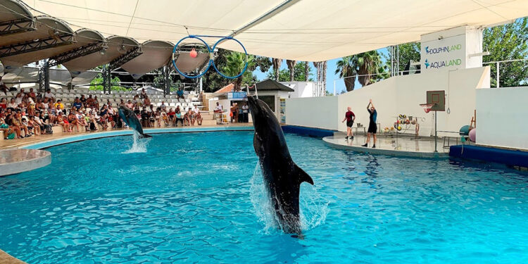 Ölümler tepki çekti: Yunus parkları derhal kapatılmalı