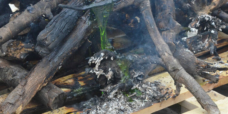 Orman yangınlarına müdahalede etkili solüsyon geliştirildi