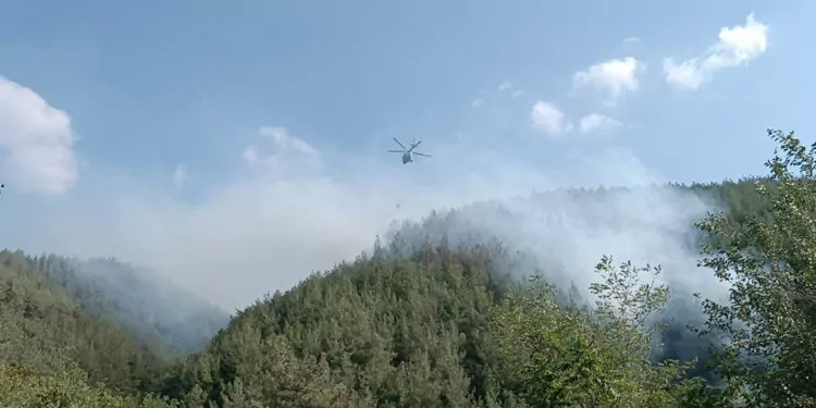 Osmaniye'nin düziçi ilçesi ilçesinde orman yangını