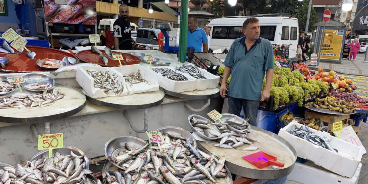 Rize'de sezonun ilk istavrit ile hamsileri, 100 liradan satışta