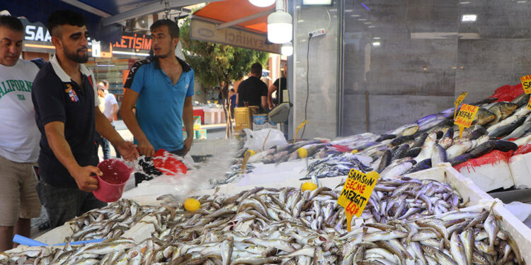 Samsun'da balık avı sezonu başladı
