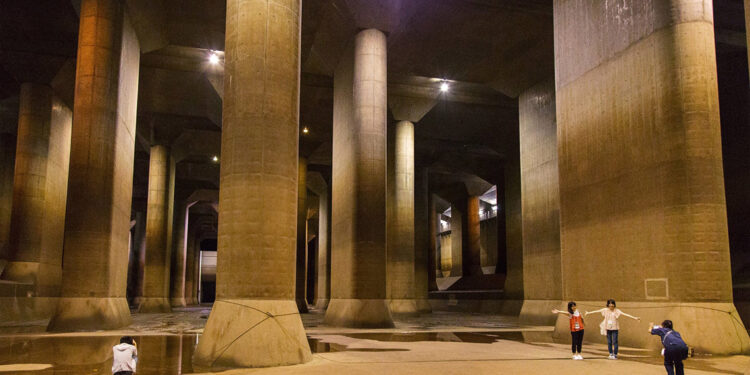 Sel felaketine karşı 'Kasukabe modeli' önerisi