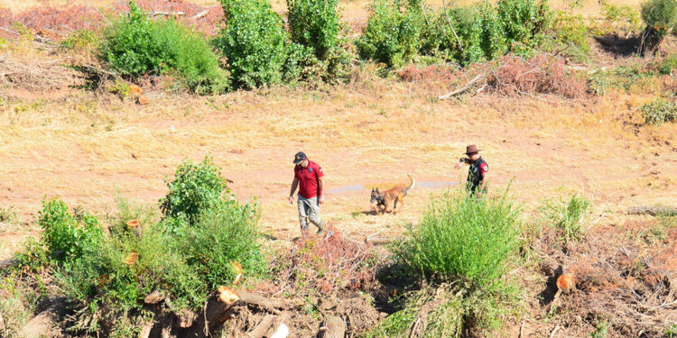 Selde kaybolan Asel'i kadavra köpekleri arıyor