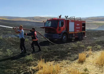 Siirt'te anız yangını; 50 dönüm arazi zarar gördü