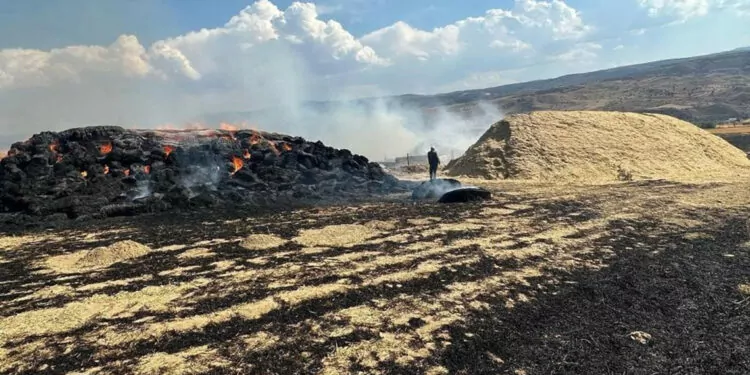 Sivas'ta çıkan anız yangınında 2 bin balya saman yandı