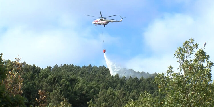 Sultanbeyli Aydos Ormanı'nda yangın 