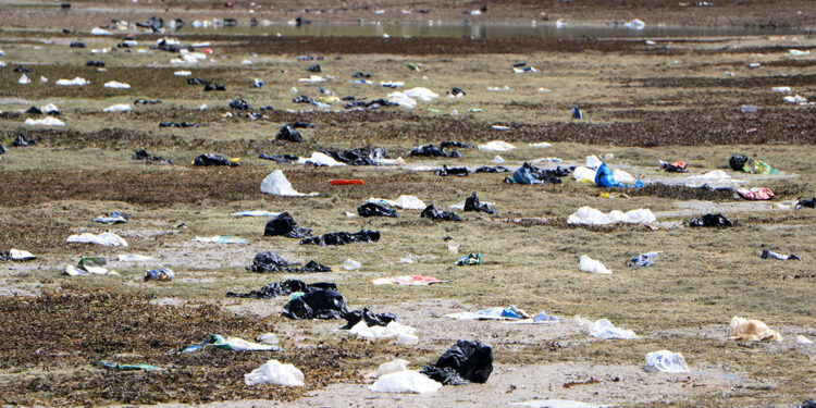 Suyu çekilen Seyhan Baraj Gölü kıyısında piknikçi kirliliği