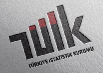 TÜİK: 2022'de 114 bin 155 girişim ihracat yaptı