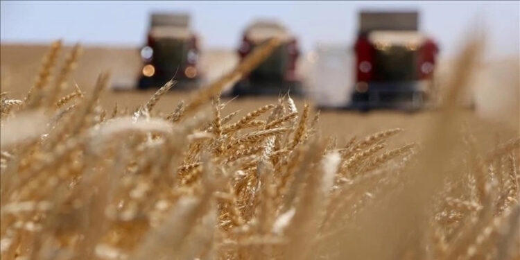 TÜİK: Tarımsal girdi fiyat endeksi temmuzda arttı