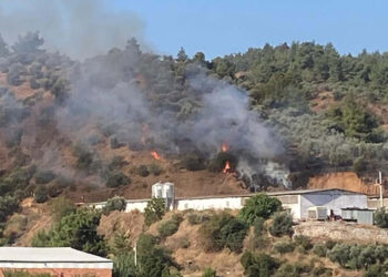 Turgutlu'da çıkan ot yangını büyümden söndürüldü