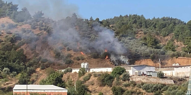 Turgutlu'da çıkan ot yangını büyümden söndürüldü