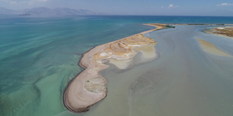 Van Gölü'nde alan kaybı sürüyor