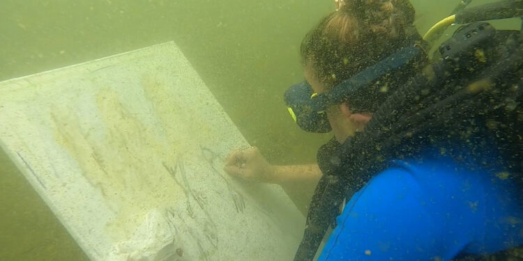 Van Gölü'ne dalış yapıp, su altında resim çizdi
