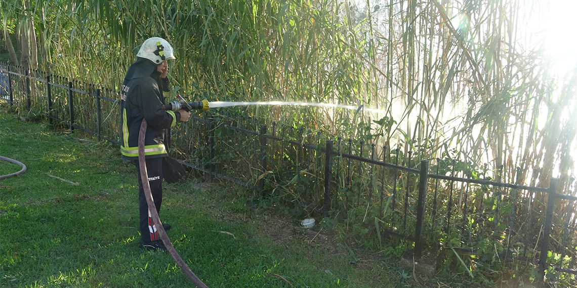 Yalım Park'ın falezlerinde yangın