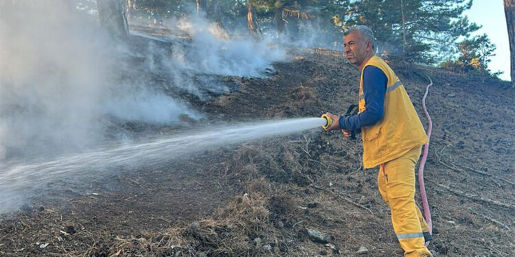 Feke'de ormanda yangın çıktı