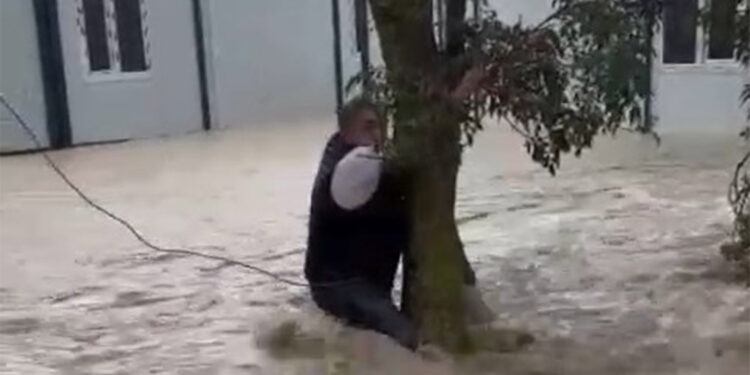 Ağaca sarılarak hayata tutunan işçi kurtarıldı