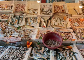 Balık fiyatları yüzde 80 oranında ucuzladı
