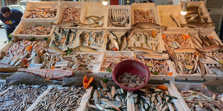 Balık fiyatları yüzde 80 oranında ucuzladı