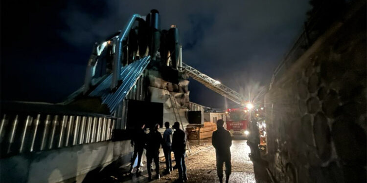 Ankara'da talaş fabrikasında yangın