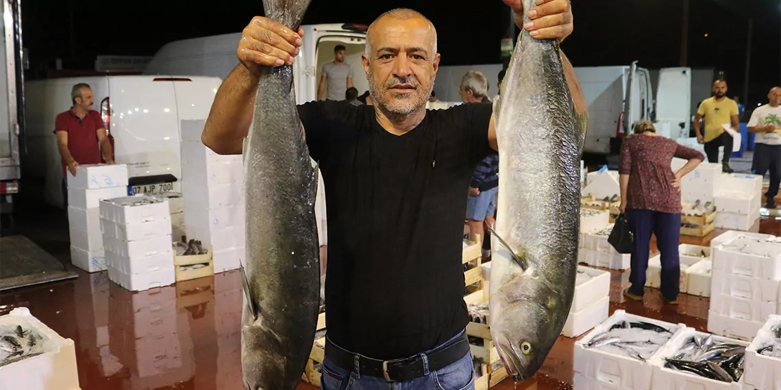 Akdeniz'de av yasağının 15 eylül itibarıyla sona ermesiyle antalya balık hali'nde hareketlilik yaşandı. Antalya balık komisyoncuları ve i̇şadamları dernek başkanı i̇lhami demir, balığın, tavuk ve kırmızı etten daha ucuz olduğunu söyledi.