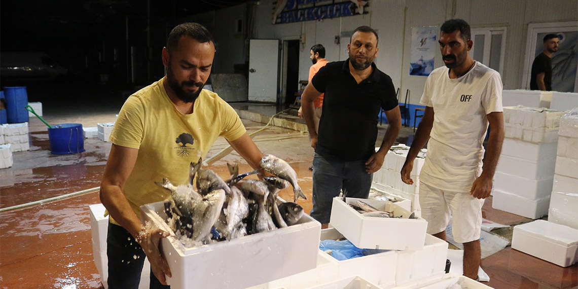 Antalya Balık Hali'nde hareketlilik