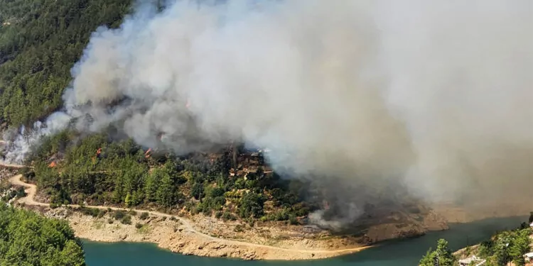 Alanya'da orman yangını; çok sayıda ekip gönderildi