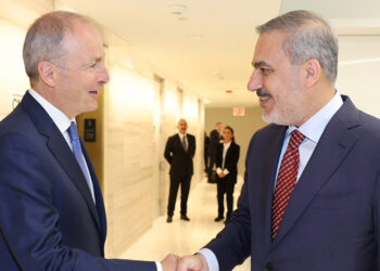 Hakan Fidan İrlandalı mevkidaşı ile görüştü
