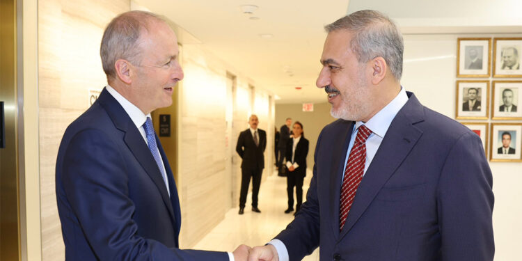 Hakan Fidan İrlandalı mevkidaşı ile görüştü