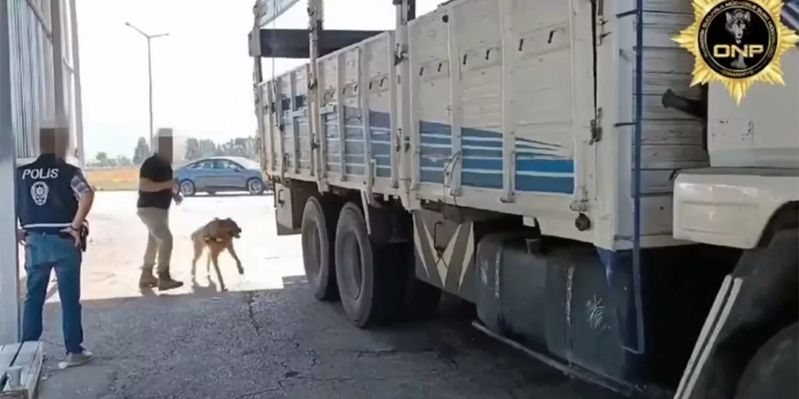 8 ilde düzenlenen operasyonlarda 42 zehir taciri yakalandı