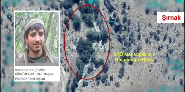 Gri kategoride yer alan Renas kod adlı terörist etkisiz hale getirildi