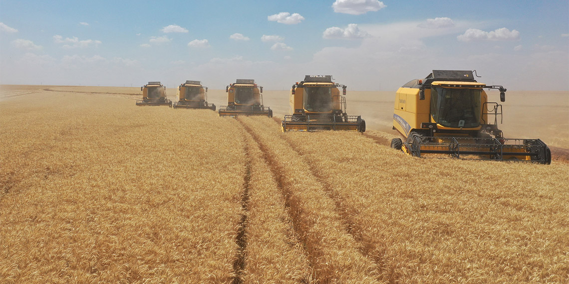 TİGEM hububat üretim rekoru kırdı