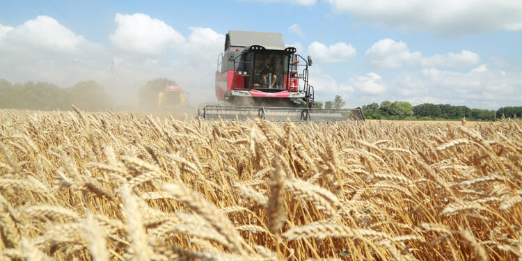 TİGEM hububat üretim rekoru kırdı