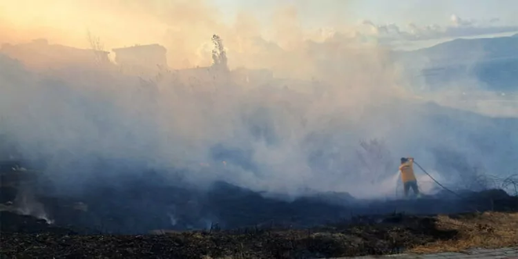 Bandırma'daki otluk yangınında 80 dönüm alan zarar gördü