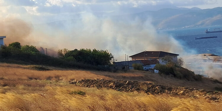 Balıkesir'de otluk alanda yangın