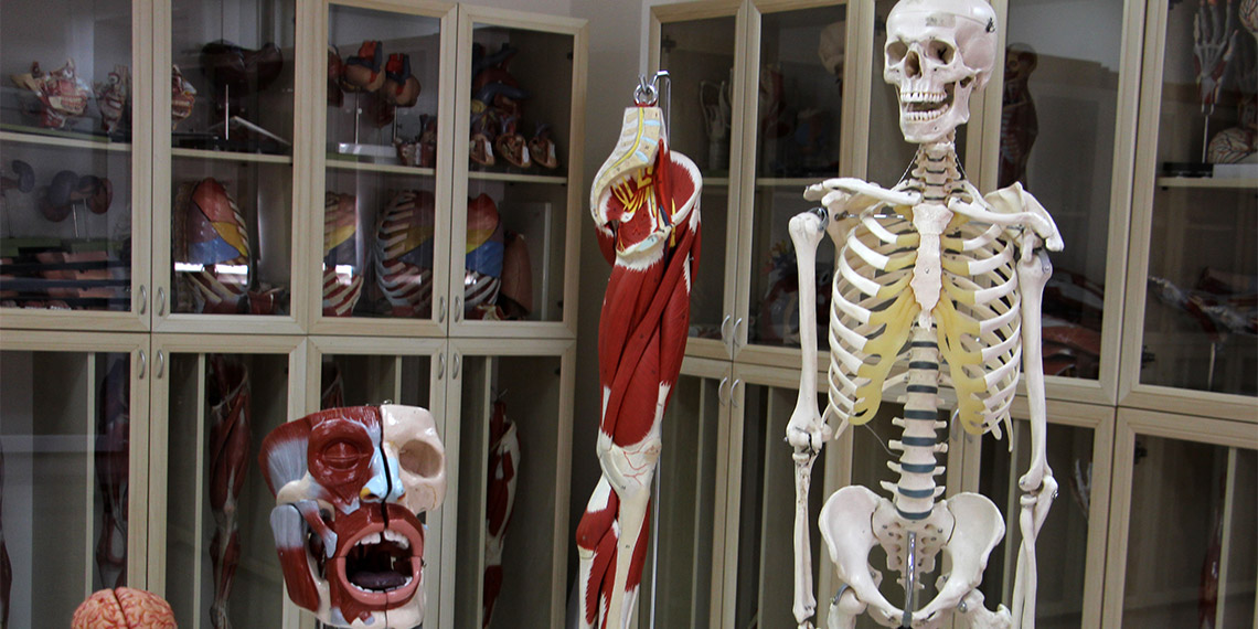 Isparta Süleyman Demirel Üniversitesi (SDÜ) Tıp Fakültesi Anatomi Anabilim Dalı Başkanı Prof. Dr. Soner Albay, tıp eğitimi gören öğrenciler için çok önemli yeri olan insan kadavrası için gönüllüler çıkmasını beklediklerini belirtti.