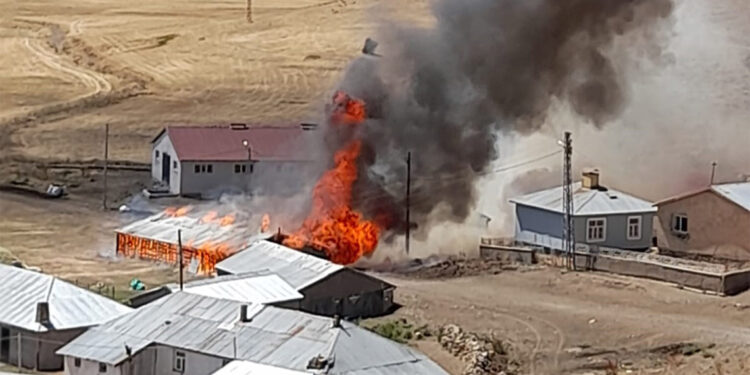 Ahırda çıkan yangında 22 küçükbaş öldü