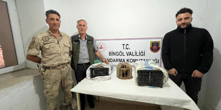 Yasadışı keklik avına 34 bin 500 TL para cezası