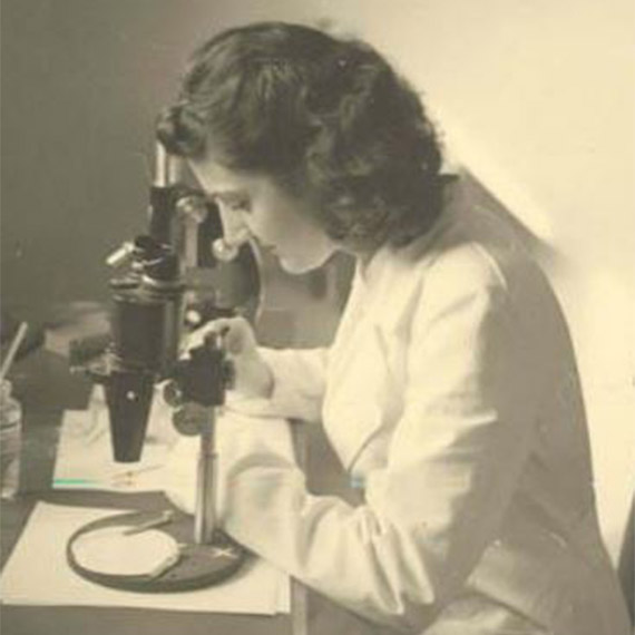 Böcek Müzesi'nde 3 bin türe ait 70 bin örnek bulunuyor