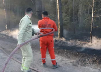 Bolu'da çıkan çıkan orman yangını 22,5 saatte kontrol altına alındı