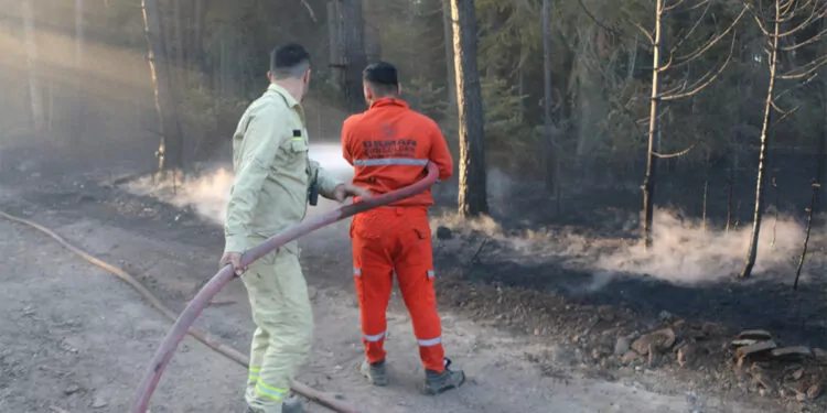 Bolu'da çıkan çıkan orman yangını 22,5 saatte kontrol altına alındı