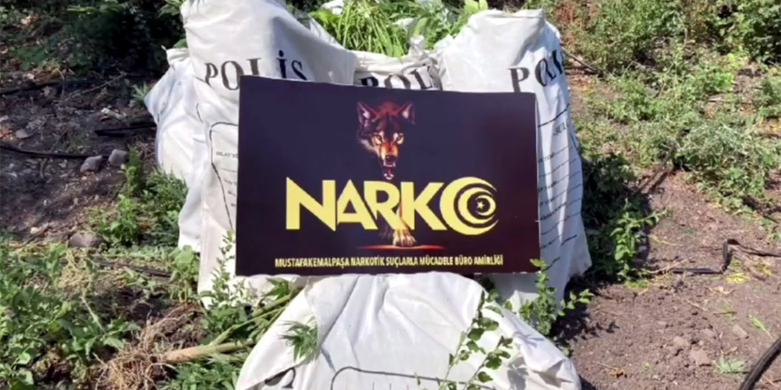 Narkotik operasyonunda 135 şüpheli gözaltına alındı