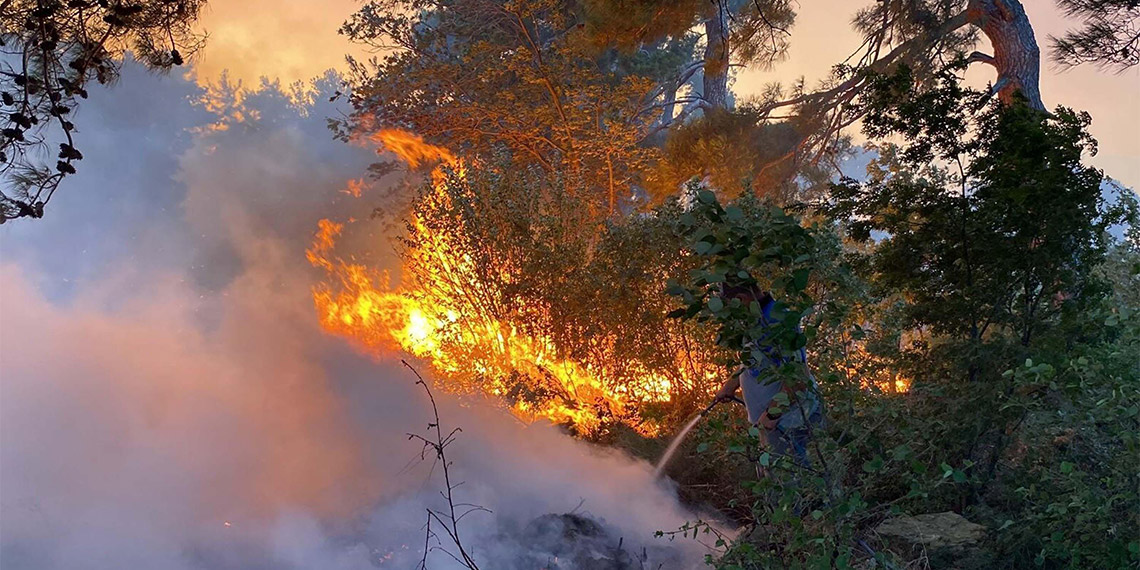 Çanakkale Orman Bölge Müdürü Enver Demirci, "Yanan alanlara 1 milyon 500 bin fidan dikeceğiz. 195 hektar alanın tabiatı korunarak muhafazaya bırakılacak" dedi.