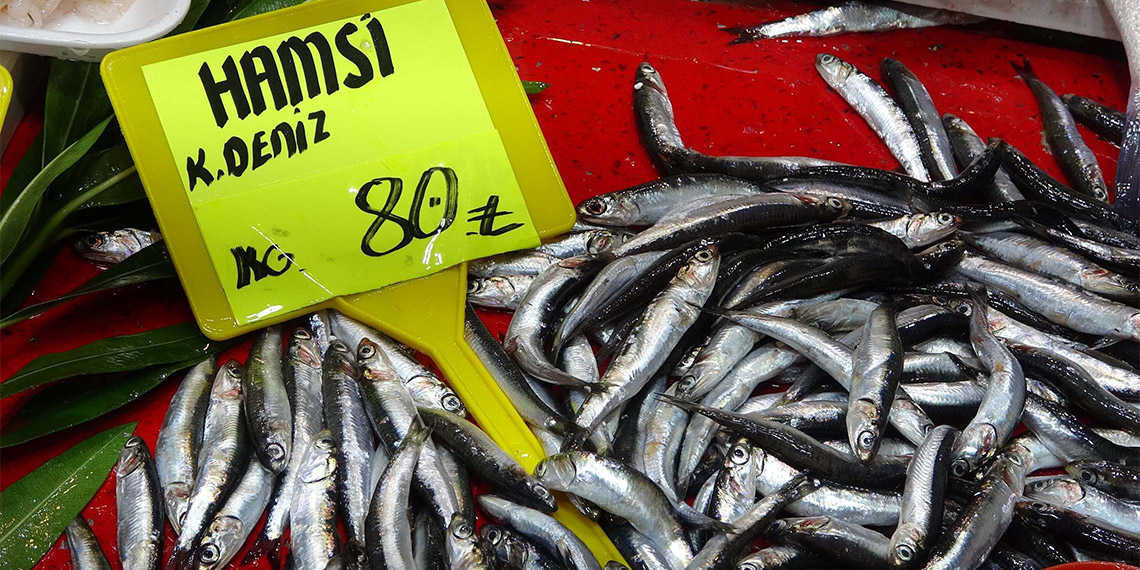 Çanakkale'de, 1 Eylül'de av sezonunun başlamasıyla birlikte bolluk yaşanırken, balık tezgahlarında fiyatlar düştü. Ayrıca 'Denizin prensi' olarak bilinen lüfer, tezgahtaki yerini aldı.