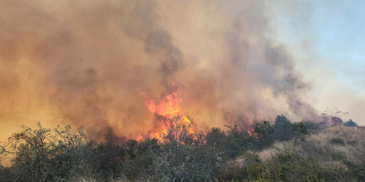 Gelibolu'da maki yangını